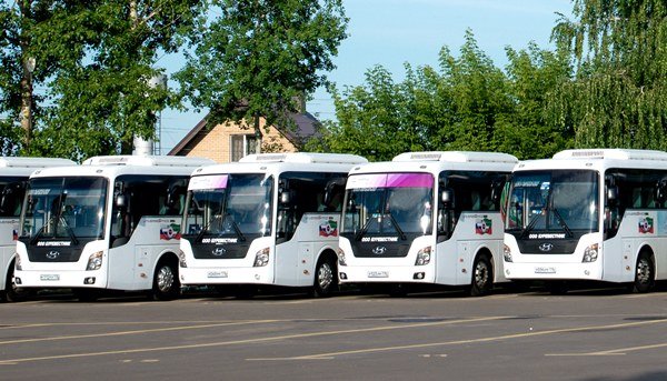Автобусы